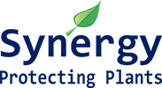 Synergy Insecticides